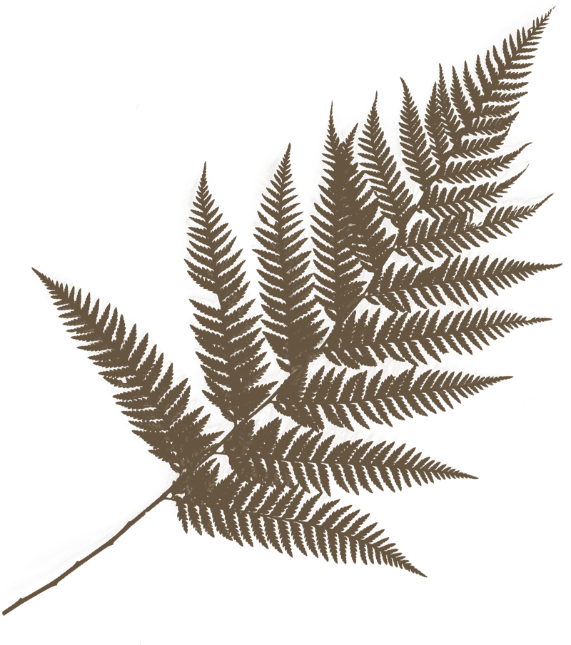 sophrologue certifiée