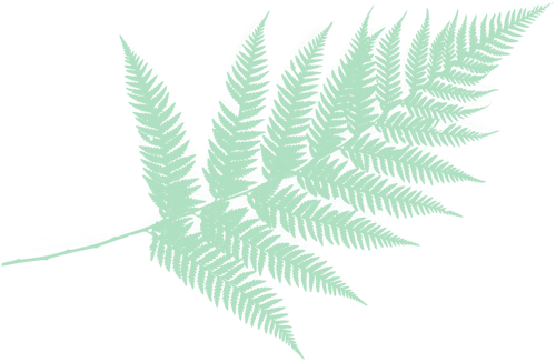sophrologue francophone